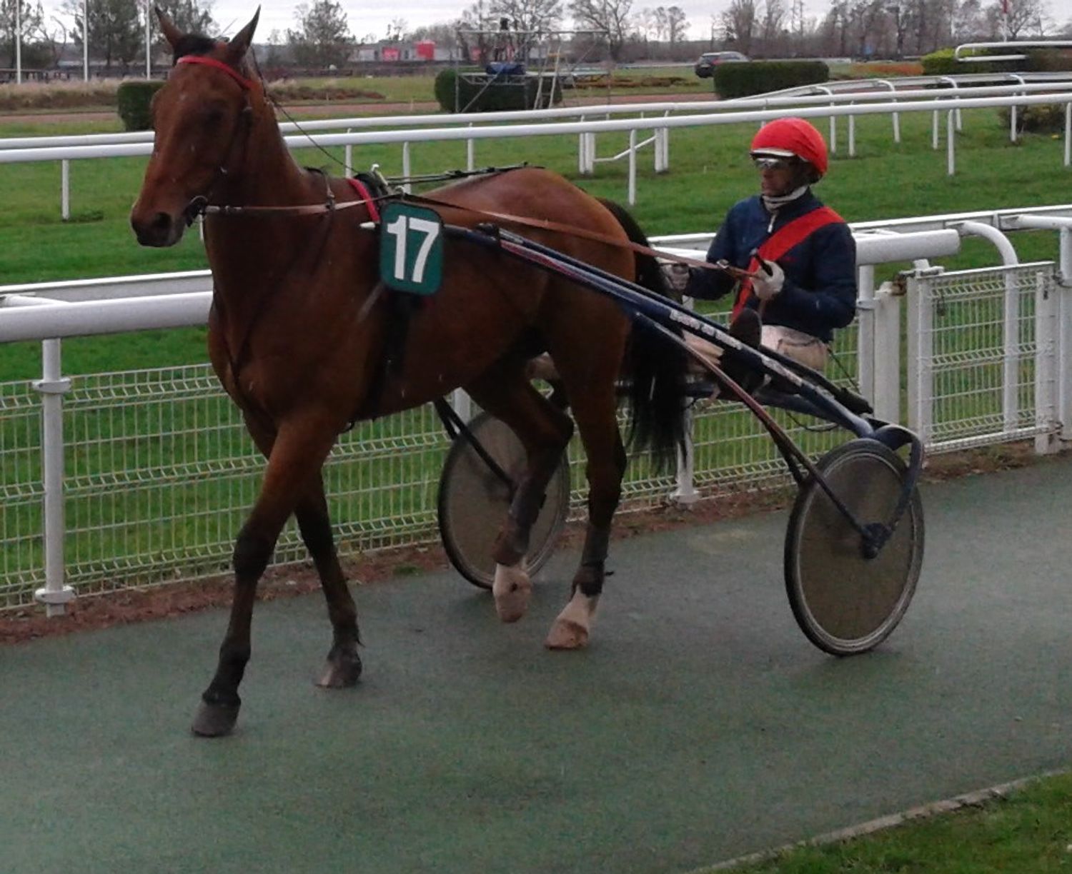 Aubrion du Gers
